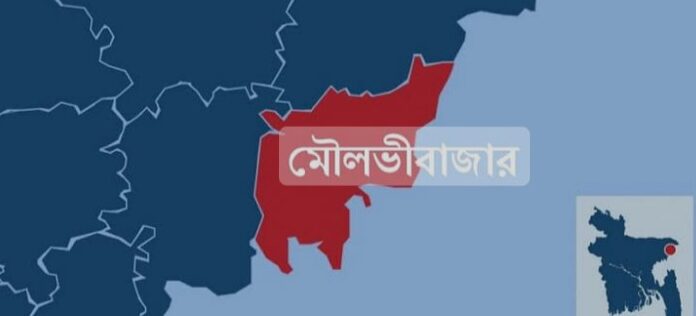 পূজার ফুল তুলতে গিয়ে পানিতে ডুবে চা শ্রমিক তরুণের মৃত্যু