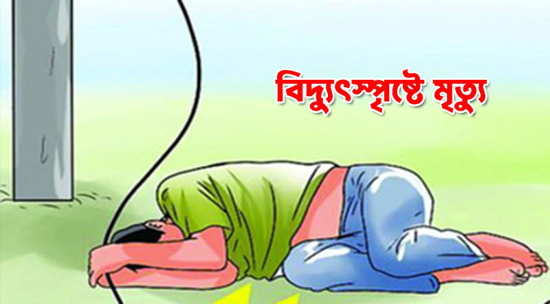 মাধবপুর ইন্টারনেটের তার মেরামত করতে গিয়ে বিদ্যুৎস্পৃষ্টে যুবকের মৃত্যু