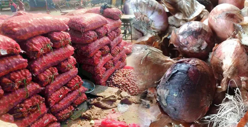বাংলাদেশ সীমান্তে পচছে ৩০ হাজার টন ভারতীয় পেঁয়াজ