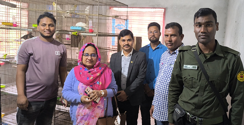 শখের বসে পাখি পালন করতে গিয়ে এখন বানিজ্যিক ভাবে পালন করছে