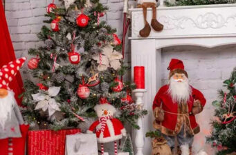 নানা আয়োজনে পালিত হচ্ছে বড়দিন