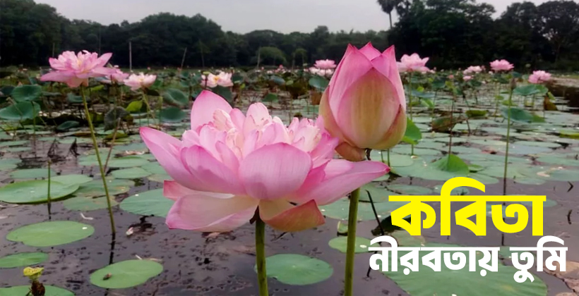 কবিতা- ★ নীরবতায় তুমি ★