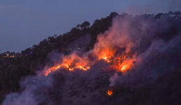ভয়াবহ দাবানলে পুড়ছে ভারতের উত্তরাখণ্ড