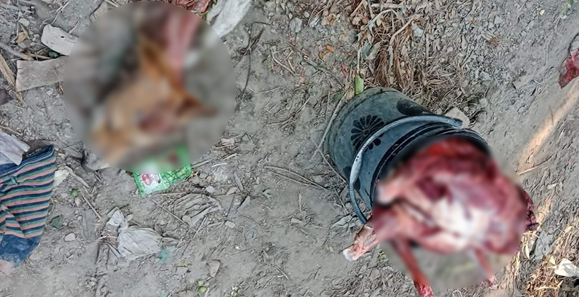 ধামইরহাটে ২৫ কেজি কুকুরের মাংস জব্দ, অভিযুক্ত পলাতক