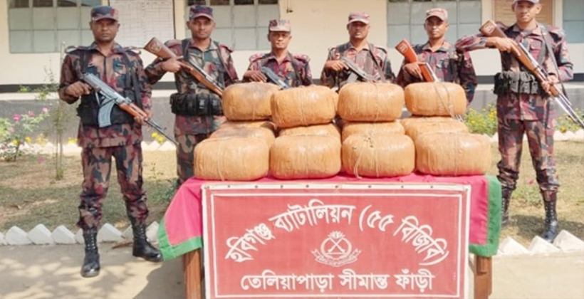 মাধবপুর বিজিবির বিশেষ অভিযানে ৭৩ কেজি গাঁজা জব্দ