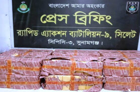 সুনামগঞ্জে র‌্যাবের অভিযানে ৮৩ হাজার পিস ভারতীয় বিড়ি উদ্ধার