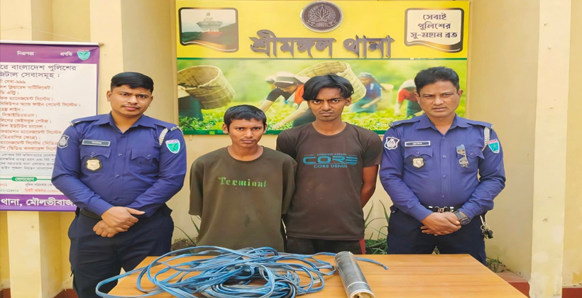 শ্রীমঙ্গলে পুলিশের পৃথক অভিযানে চোরাই মালামালসহ আটক ৬