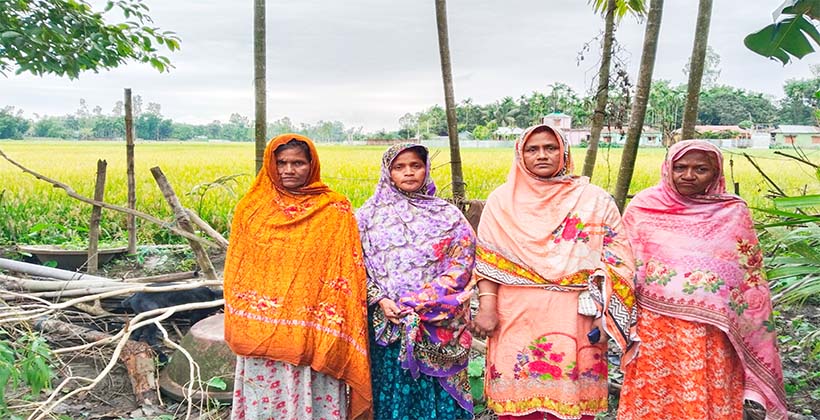 কুড়িগ্রামে বোনদের জমির ধান কাটতে দিবে না ভাইয়েরা