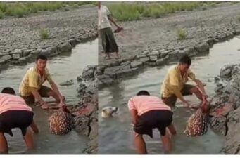 মিরসরাইয়ে প্রকাশ্যে চিত্রা হরিণ জবাই: ভিডিও ভাইরাল, তোলপাড়