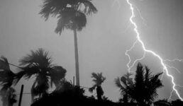 সারা দেশে বজ্রপাতে ১২ জনের মৃত্যু