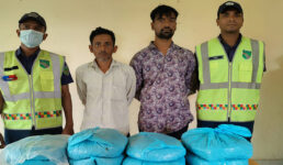 খাঁটিহাতা হাইওয়ে থানা কর্তৃক ৮ কেজি গাঁজাসহ দুই মাদক কারবারি গ্রেপ্তার