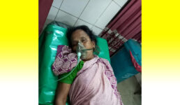 মৌলভীবাজারে সড়ক দুর্ঘটনায় বৃদ্ধার মৃত্যু, চালক পলাতক