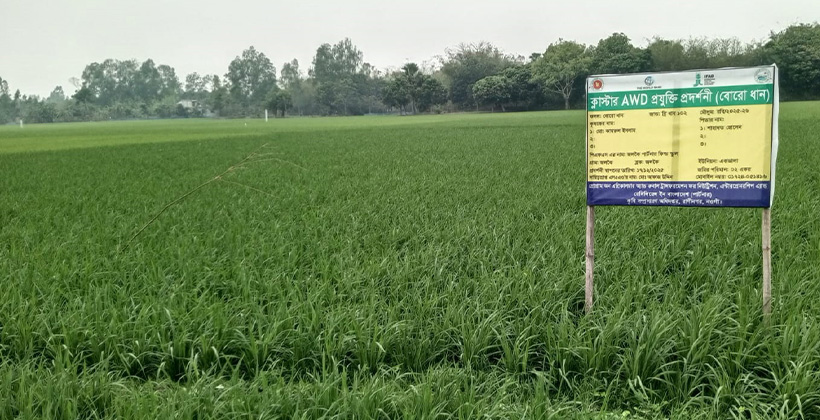 রাণীনগরে কর্তাদের অবহেলায় ভেস্তে গেছে ক্লাস্টার এডব্লিউডি প্রযুক্তি প্রদর্শনী প্রকল্প