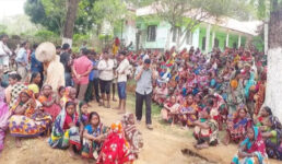 মাধবপুরে অস্তিত্ব সংকটে ৫টি চা বাগান বিপাকে হাজারো শ্রমিক পরিবার