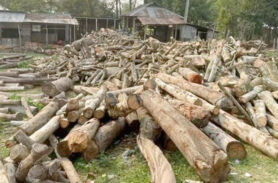 হবিগঞ্জে অবৈধ করাত কল নিয়ে বন বিভাগ ও পল্লী বিদ্যুতের টানাপোড়েন