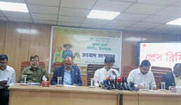 দলীয় বিবেচনায় কাউকে কার্ড দেওয়া হবে না