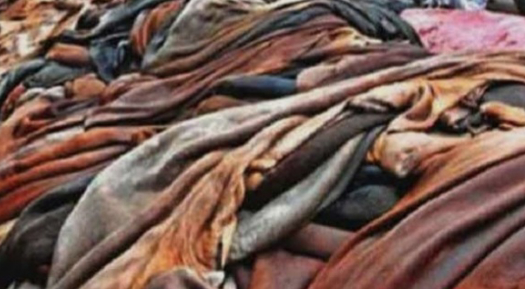 চট্টগ্রামের ‘রিফ লেদার’ চামড়া খাতে হারানো ঐতিহ্য ফেরাতে বড় ভরসা