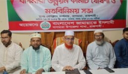বাগমারাকে আধুনিক জনপদ গড়তে উন্নয়ন কমিটি ঘোষণা এমপি ডা. বারীর