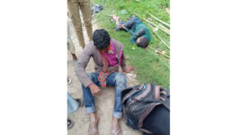 ফুলবাড়ীতে রাস্তার পাশে অচেতন অবস্থায় ৫ জন ধানকাটা শ্রমিক উদ্ধার