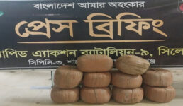 র‌্যাব-৯-এর অভিযানে মাধবপুরে ৫২ কেজি গাঁজাসহ আটক ৩