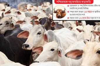বাজারে ক্রেতা নেই, দুশ্চিন্তায় হিন্দু খামারিরা
