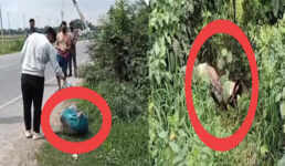 মাধবপুরে মহাসড়কের পাশে জঙ্গল থেকে যুবকের অর্ধগলিত মরদেহ উদ্ধার