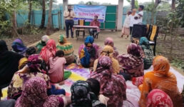 ফেনী জেলা তথ্য অফিস কর্তৃক ফুলগাজীতে উঠান বৈঠক অনুষ্ঠিত।