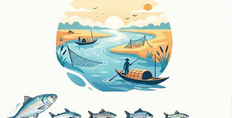 মৎস্য উৎপাদনে অনন্য উচ্চতায় বাংলাদেশ: বিশ্বমঞ্চে পঞ্চম, উন্মুক্ত জলাশয়ে দ্বিতীয়