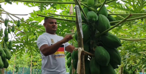 প্রযুক্তির ছোঁয়ায় ভাগ্যবদল: সমন্বিত চাষে সুমনের বাজিমাত