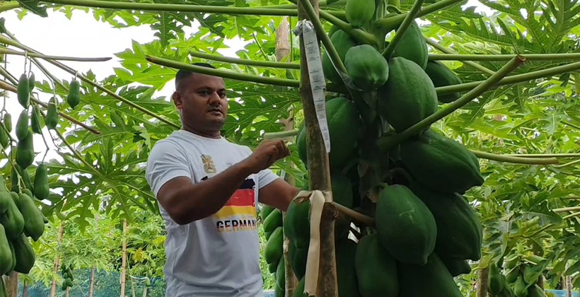 প্রযুক্তির ছোঁয়ায় ভাগ্যবদল: সমন্বিত চাষে সুমনের বাজিমাত