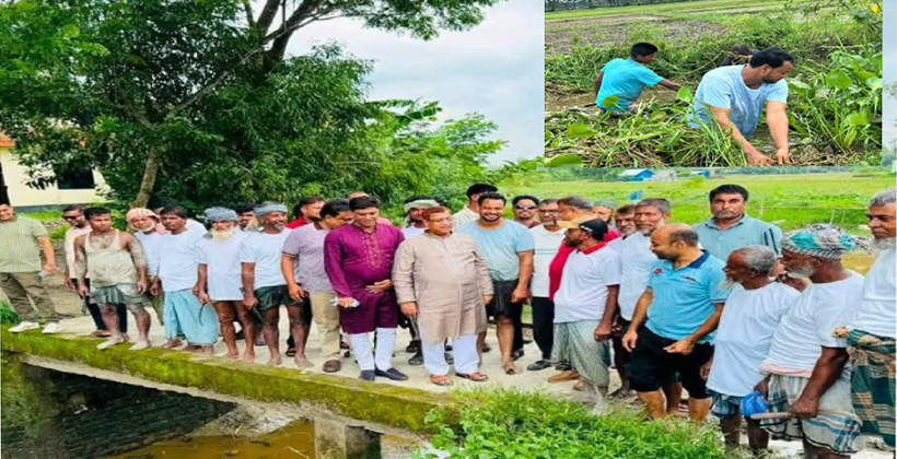 কৃষকদলের স্বেচ্ছাশ্রমে প্রাণ ফিরছে আন্তছরা খালে: পরিদর্শনে এমপি নুরুল আমিন