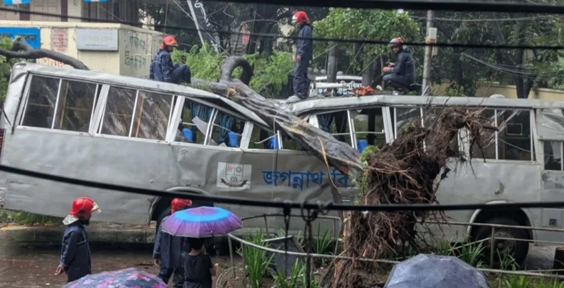 জগন্নাথ বিশ্ববিদ্যালয়ে বাসের ওপর উপড়ে পড়ল গাছ টানা বৃষ্টির মধ্যে