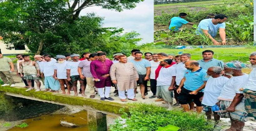 কৃষকদলের স্বেচ্ছাশ্রমে প্রাণ ফিরছে চট্রগ্রামের আন্তছরা খালের