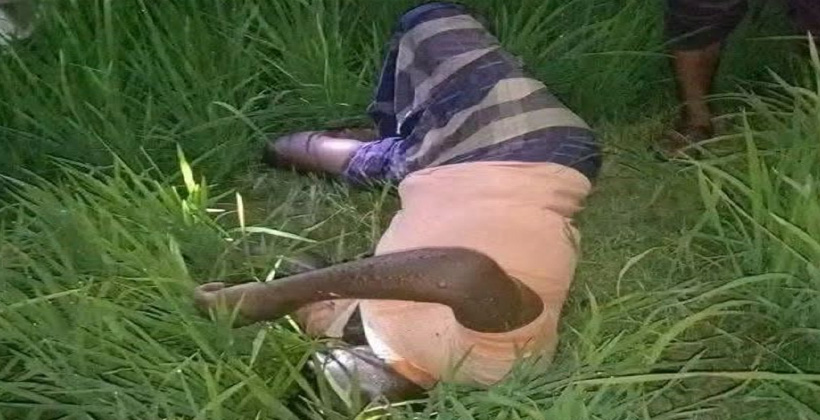 তানোরের ধান খেতে পড়ে ছিল কৃষকের মরদেহ