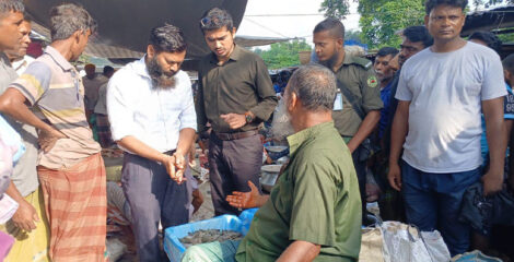 রাজশাহীতে জেলি মিশ্রিত চিংড়ি বিক্রির অপরাধে ব্যবসায়ীকে জরিমানা