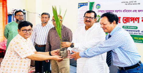 রাজশাহীতে এক হাজার তালগাছের চারা রোপণ কর্মসূচির উদ্বোধন