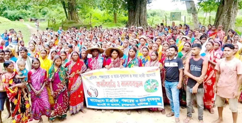 হবিগঞ্জে ৫০০ টাকা মজুরির দাবিতে অনড় চা শ্রমিকরা চলছে কর্মবিরতি