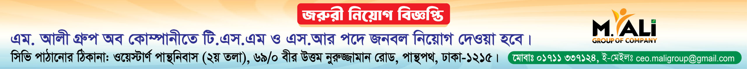 Advertisement