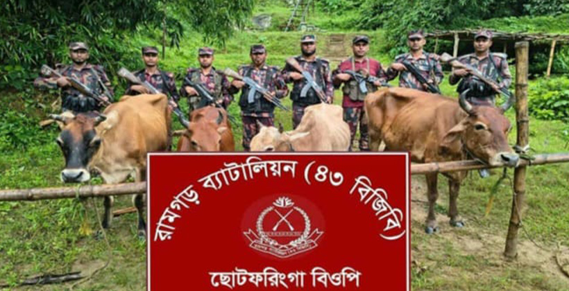 মধ্যরাতে সীমান্তে বিজিবির সাঁড়াশি অভিযান: গরু ফেলে চম্পট দিল চোরাকারবারিরা