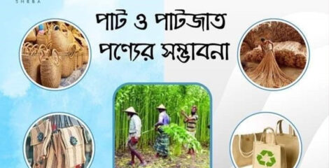 বিশ্ববাজারে বাংলাদেশি পাটের দাপট: ১০ বছরের রপ্তানি আয় জানালেন পাটমন্ত্রী