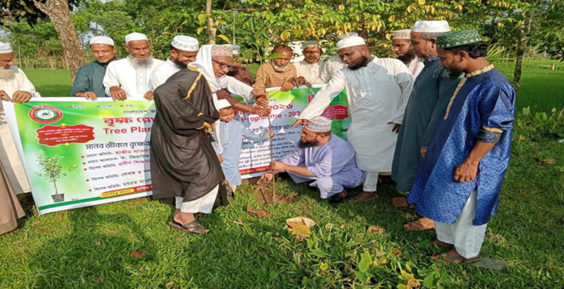 সিলেটে সুন্নী ওলামা মাশায়েখ পরিষদের বৃক্ষরোপণ ও চারা বিতরণ সম্পন্ন