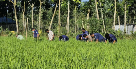 বগুড়ায় নিখোঁজের তিন দিন পর ধানক্ষেতে মিলল শিশুর মরদেহ