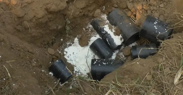 ভ্যানিটি ব্যাগে মিলল ৯ ককটেল