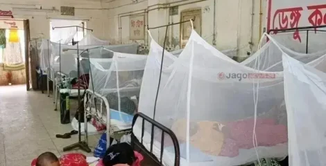 ডেঙ্গুতে আরও ৪ জনের মৃত্যু, হাসপাতালে ভর্তি ১ হাজার ৮৫১