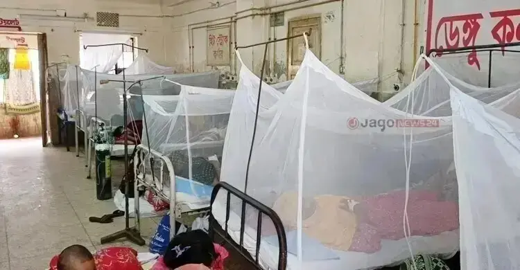 ডেঙ্গুতে আরও ৪ জনের মৃত্যু, হাসপাতালে ভর্তি ১ হাজার ৮৫১