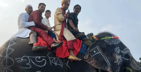 মায়ের ইচ্ছায় হাতির পিঠে চড়ে বিয়ে, গাইবান্ধায় বরকে দেখতে ভিড়