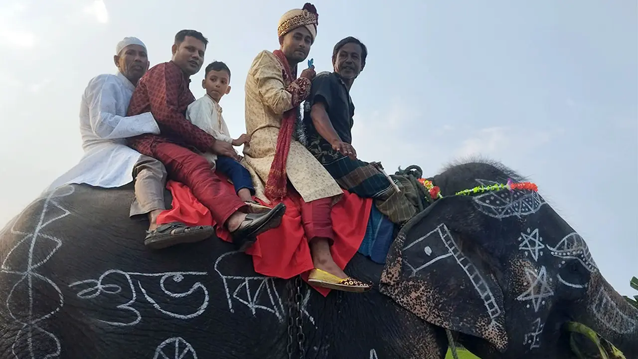 মায়ের ইচ্ছায় হাতির পিঠে চড়ে বিয়ে, গাইবান্ধায় বরকে দেখতে ভিড়