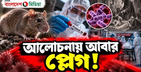 আলোচনায় আবার প্লেগ!